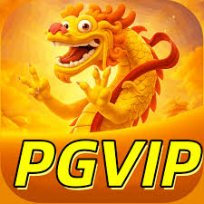 Registro no pgvip com